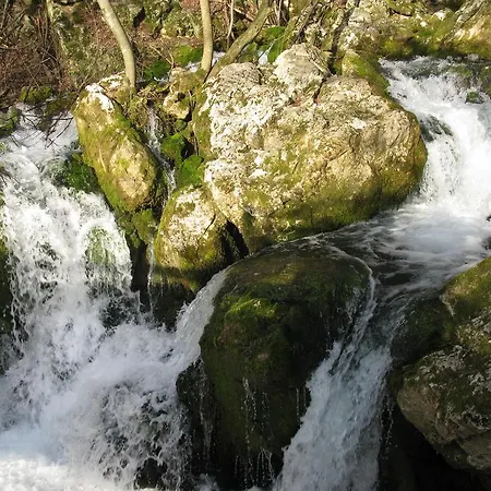 Bed & Breakfast Izvor Lisine Strmosten