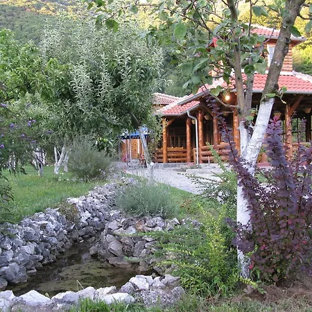 Izvor Lisine Strmosten