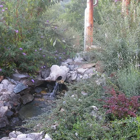 Bed & Breakfast Izvor Lisine