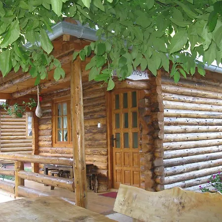 Izvor Lisine Strmosten